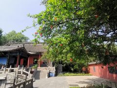 -百脉泉景区