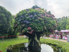 -无锡蠡湖国家湿地公园-蠡园