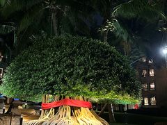 -海南清水湾莱佛士酒店