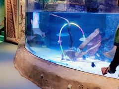 -沈阳海洋探索中心