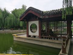 -团结湖公园