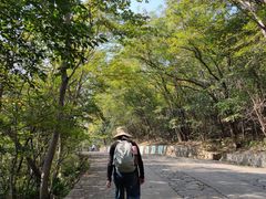 -紫金山山顶公园