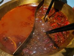 -矮冬瓜红茶火锅(天府一街店)