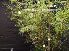 -宫七SPA·高端Massage(浦东大道店)