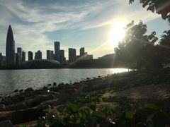 -深圳湾公园(南山区)
