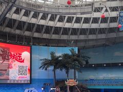 -海合安成都极地海洋公园