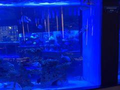 -上和臻品中国菜(花园街店)