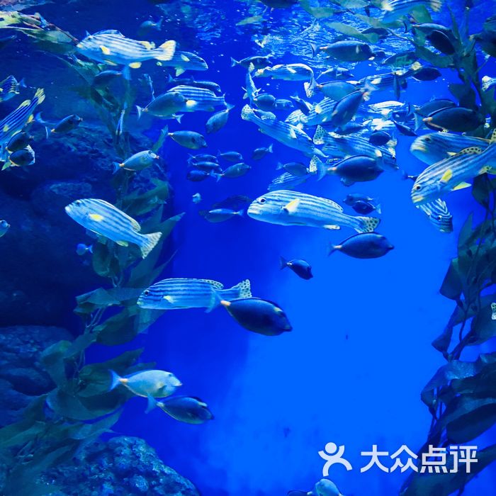 海滨城浩海立方海洋馆