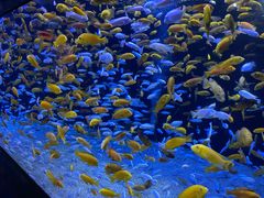 -成都浩海立方海洋公园