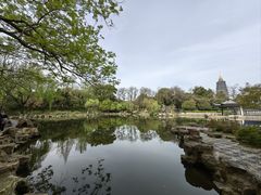-红梅公园