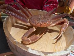 -蟹田居·活蟹料理(东城店)
