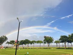 -野狸岛