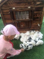 -萌宠亲子动物乐园(槐房万达店)