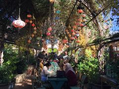 -The Grounds of Alexandria