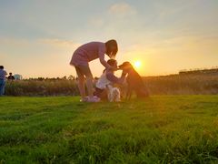 -上海海事大学(临港校区)