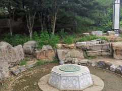 -大兴滨河森林公园