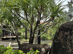 -三亚海棠湾万丽度假酒店