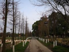 -乌村