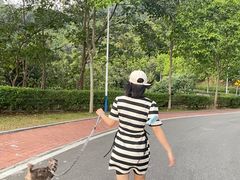 -火炉山森林公园