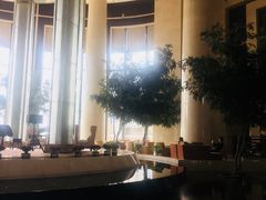 -新都绿城喜来登酒店大堂吧