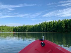 -上海海湾国家森林公园