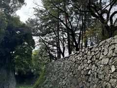 -名古屋城