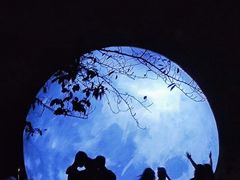 -复旦大学光华楼