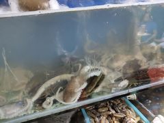 -云南巷海鲜大咖·可加工海鲜