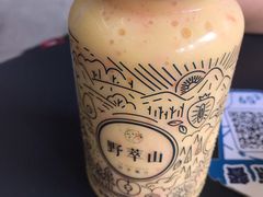 -野萃山·潮汕厚果汁(十亩地店)