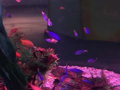 -常州海昌海洋探索馆