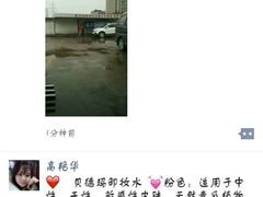 -兰剑驾校(汉阳校区)