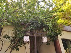 -郑州银基黄帝宫御温泉