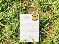 -静安公园(静安寺街道)