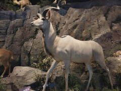 -陕西自然博物馆