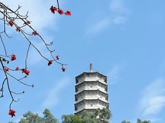 -深圳国际园林花卉博览园