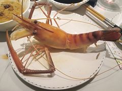 -璞御·海鲜·雪花牛肉局(宾水西道店)