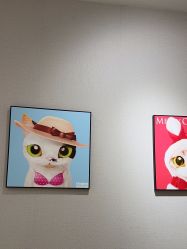 -洗脸猫·洗脸吧