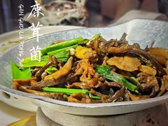 干锅鹿茸菌-韵秋荷(宝山龙湖天街店)