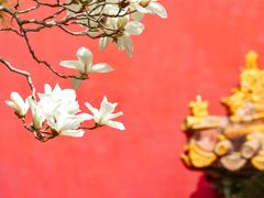 -北京市劳动人民文化宫(太庙)