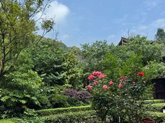 -峨眉山报国寺