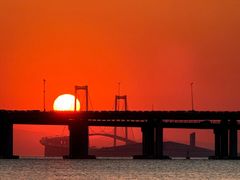 -宝安西湾红树林湿地公园