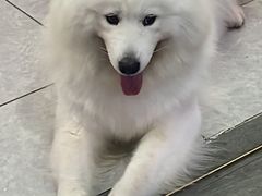 -Win Win电玩·日式の游戏馆