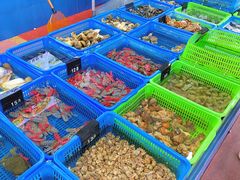 -七鲜渔港美食餐厅(巽寮湾海景店)