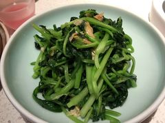 邹山腐皮鸡毛菜-竹外桃花·江南小酒馆(SKP·S店)