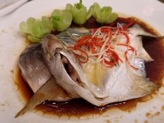 -南山酒肆(南山董事绘店)