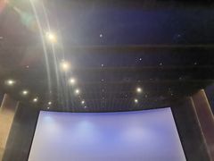 -金逸影城(光美江宁IMAX店)