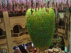 -深圳东部华侨城茵特拉根酒店