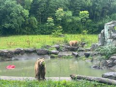 -宁波野生动物园