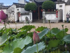 -清漾毛氏文化村