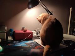 -畜牧兽医站(共江路店)